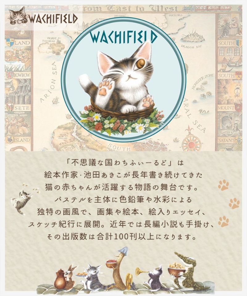 【猫のダヤン WachiField-わちふぃーるど】たくさん入る！2way ...