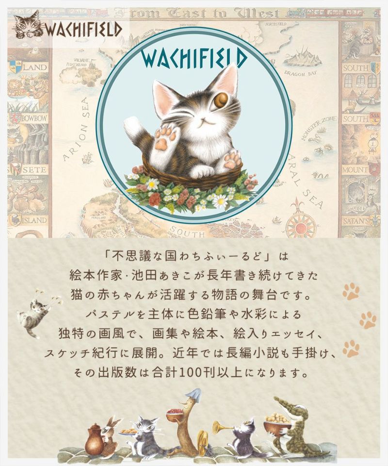 【猫のダヤン WachiField-わちふぃーるど】軽量！お出かけに